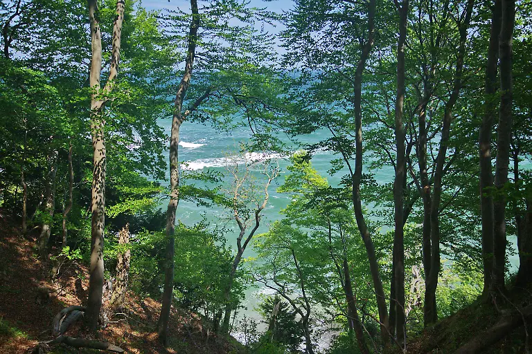 2ymy2800-jpg6896974136427611375