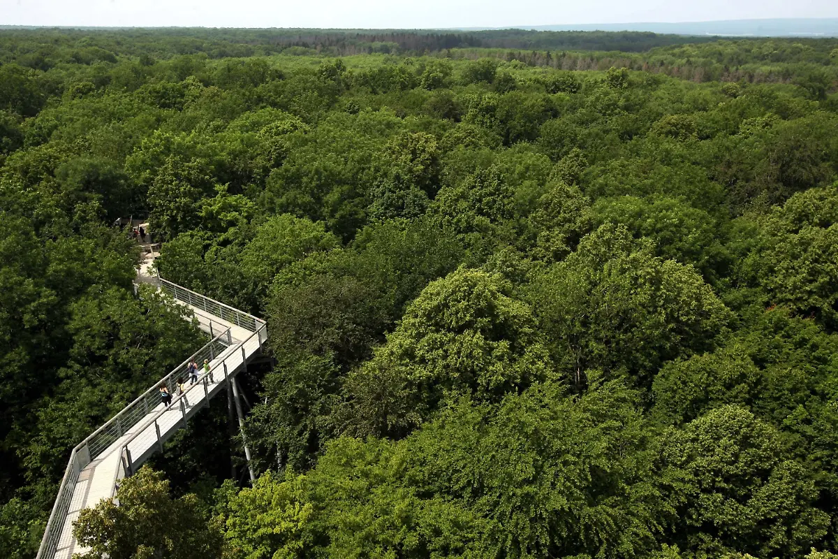 2ynn5543-jpg7305714893090841488