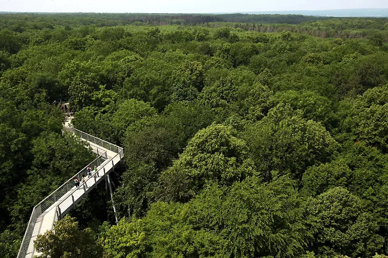 2ynn5543-jpg7305714893090841488