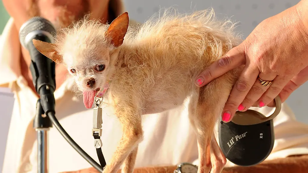 DAB1286-20110625-jpg5697775880530294193