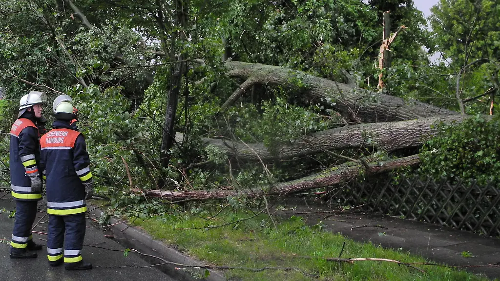 DI10023-20110623-jpg2457184974595384661