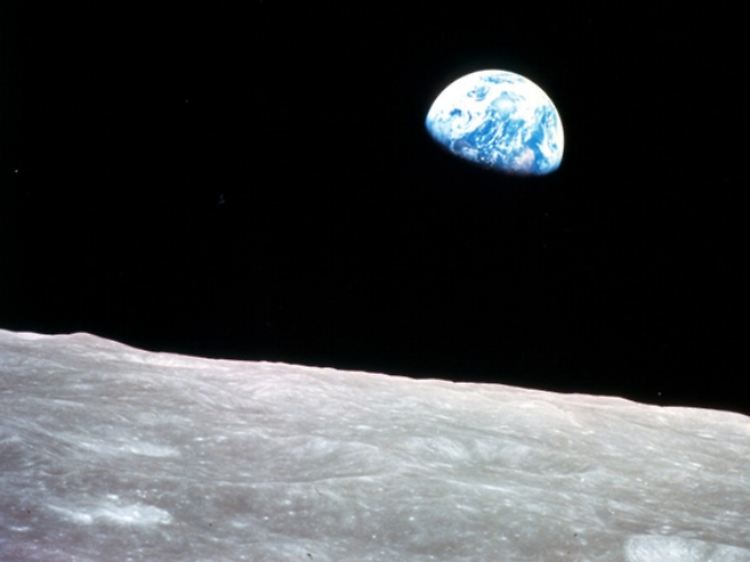 20919517.jpg
