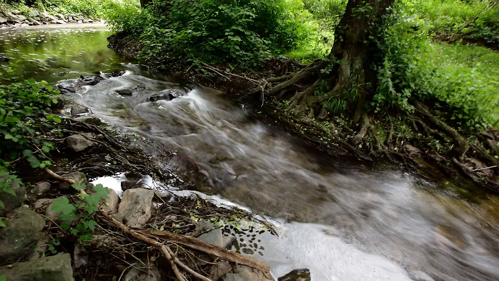 2011-06-18T122803Z-01-KAI10-RTRMDNP-3-GERMANY-EHEC-JPG6004676573982765260