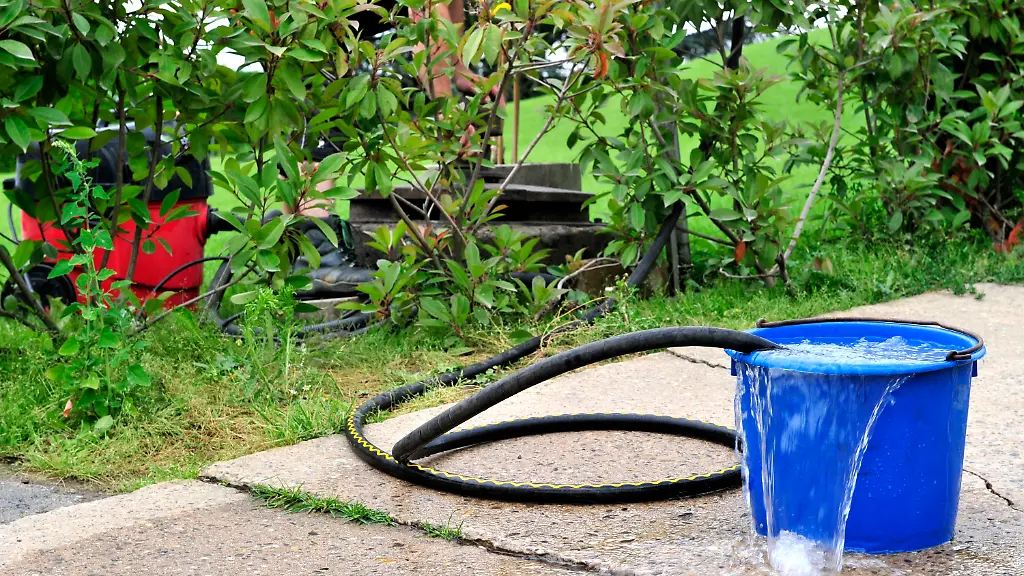 2yhq4724-jpg2278324215184272906