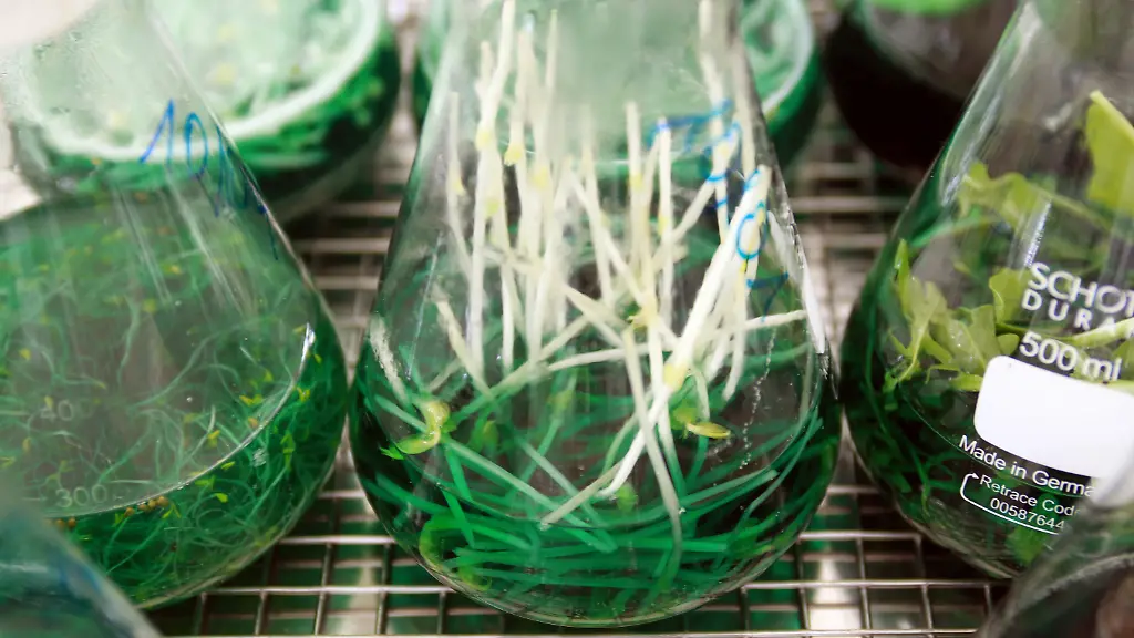 2yh31405-jpg616798341022317941