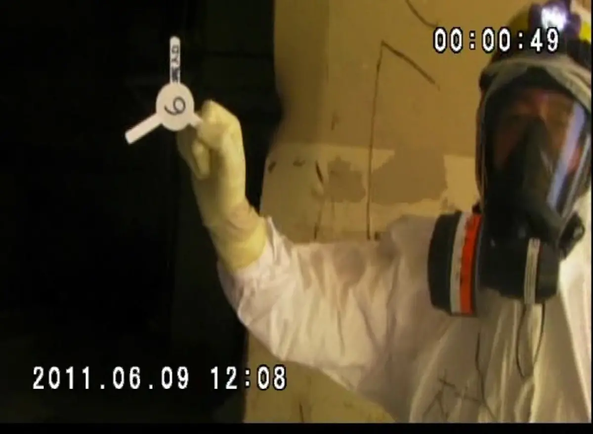 2yh70142-jpg8429619994670613388