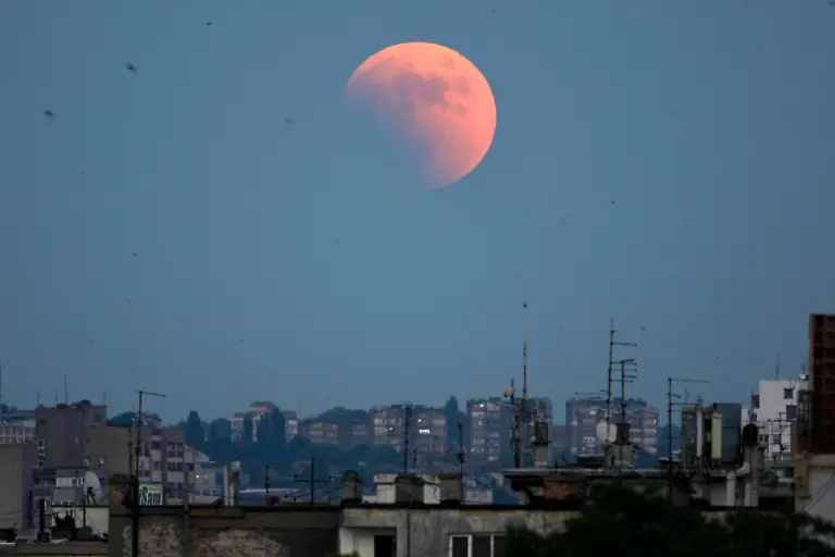 DAB4766-20110615-jpg5932254405835963167