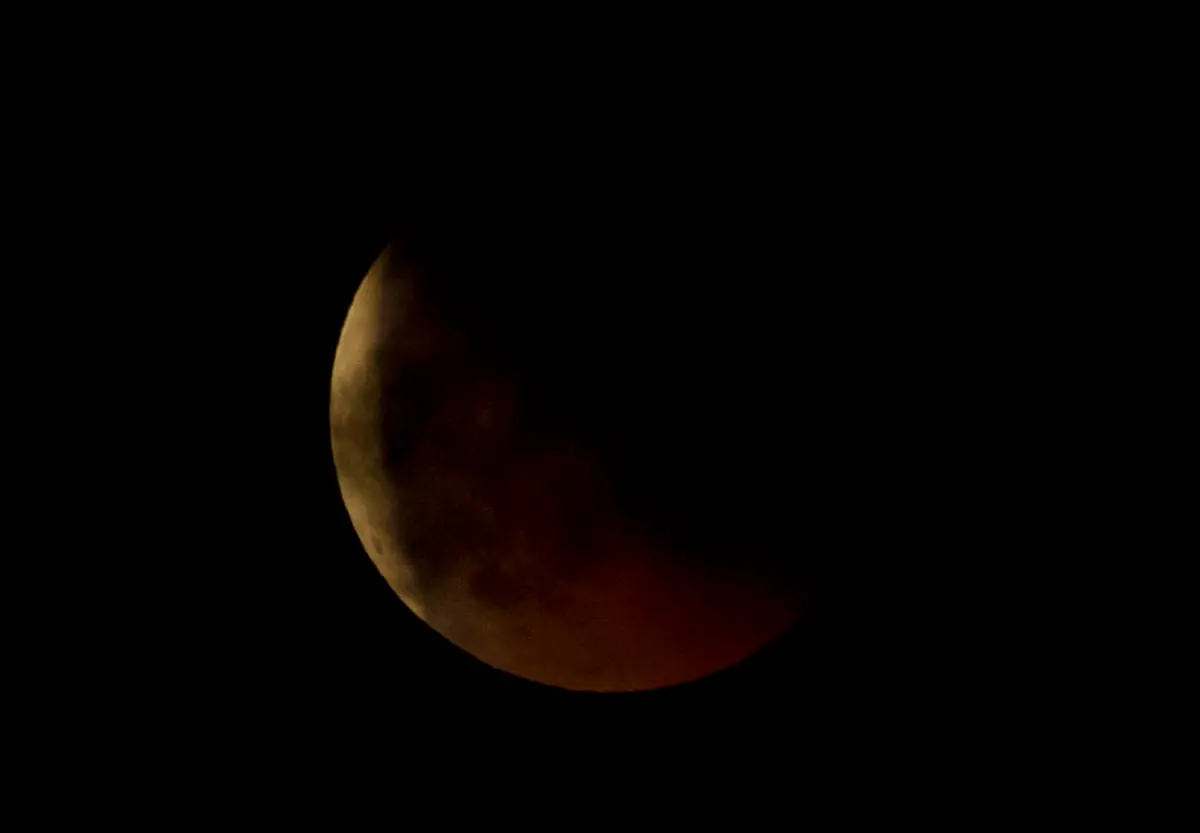 DI10010-20110616-jpg7347953835092789576