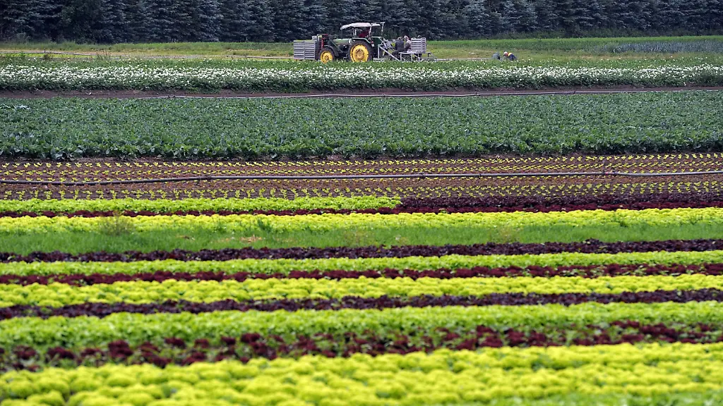 2ygc3717-jpg5001243695332059846