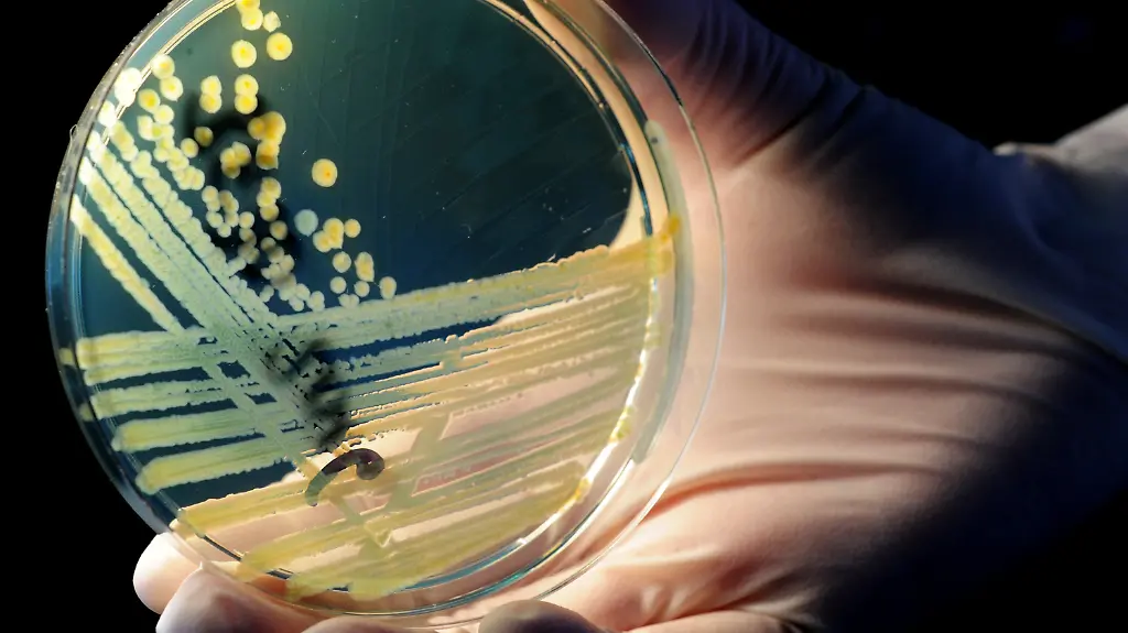 2yef4039-jpg1662585017497759299