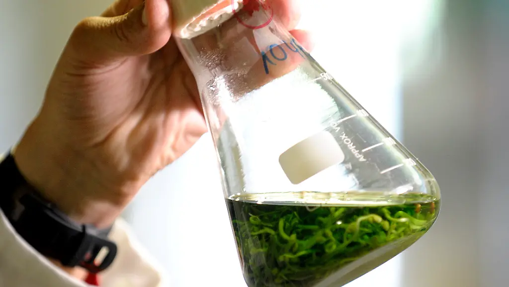 DI10549-20110610-jpg4203766689533400612