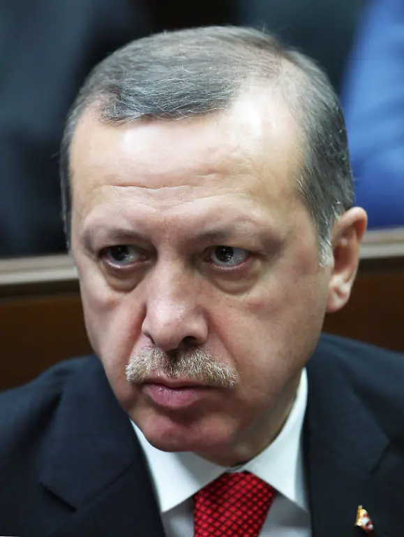 Erdogan-WBG-12