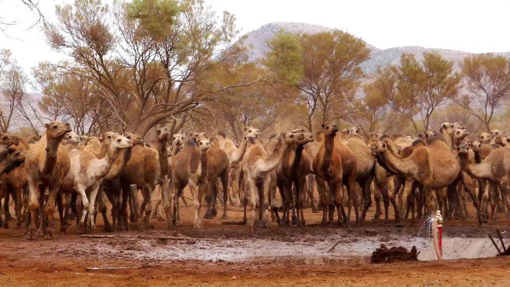 2ycz3219-jpg8946663732652820347