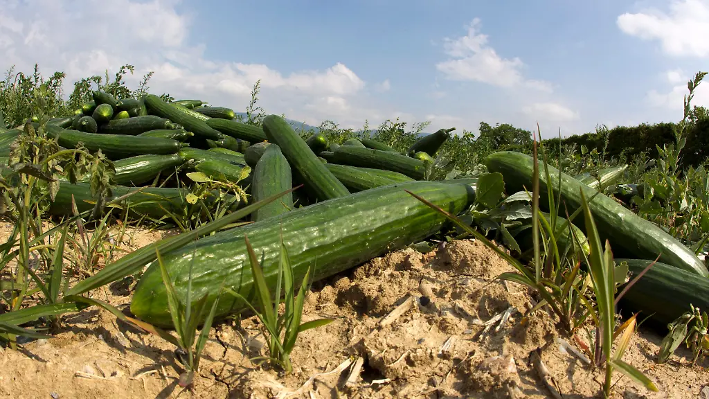 2y965800-jpg2707481017069372030