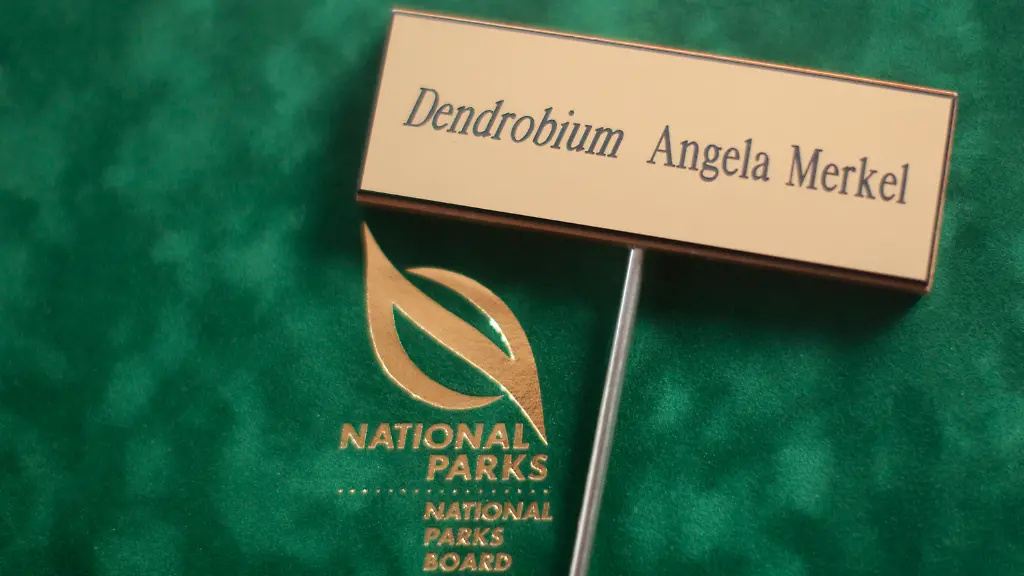 2y893025-jpg8070421791318066546