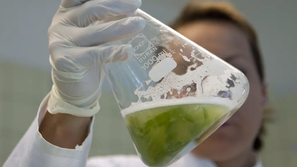 DDI1051-20110601-jpg3718443116956362108