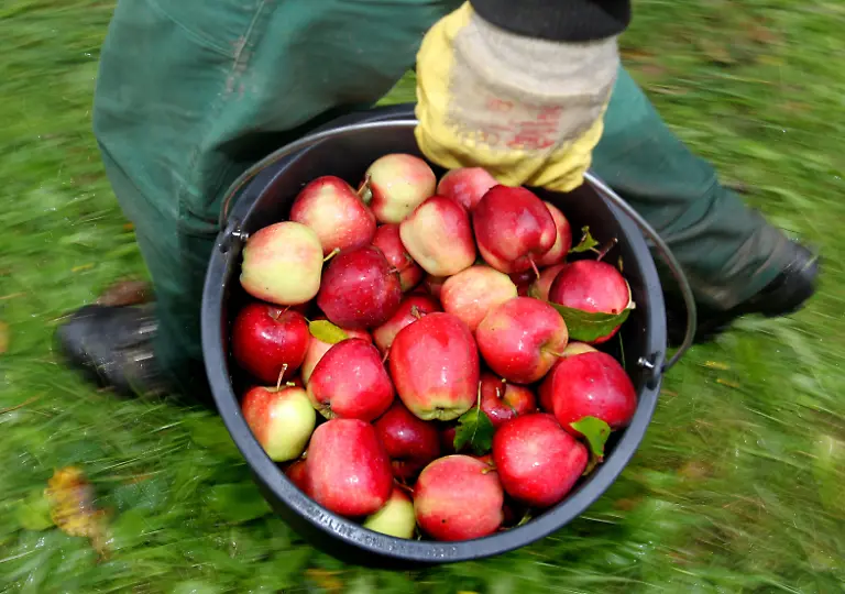 a16