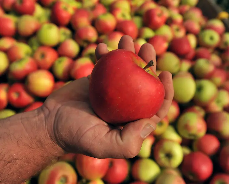 apfel