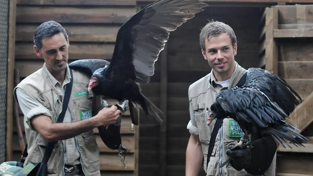 1306855108-jpg9094320744247437845