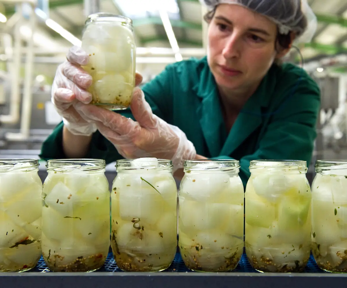 spreewald-senfgurken