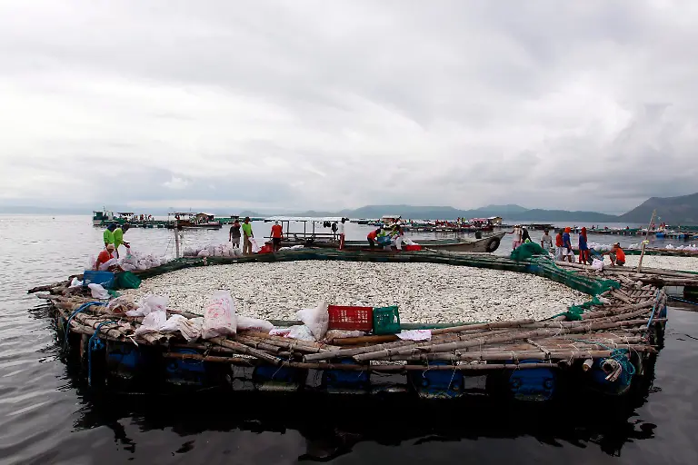 2y5k4822-jpg6657398656343422100