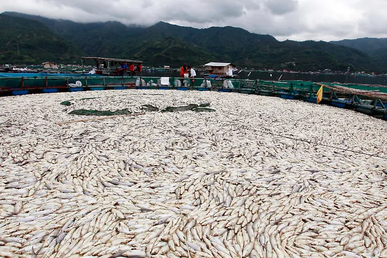 2y5k5845-jpg1469178611402191039