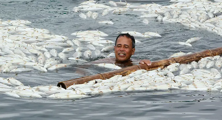 2011-05-29T073854Z-01-EDC507-RTRMDNP-3-PHILIPPINES-JPG7918245637835210469