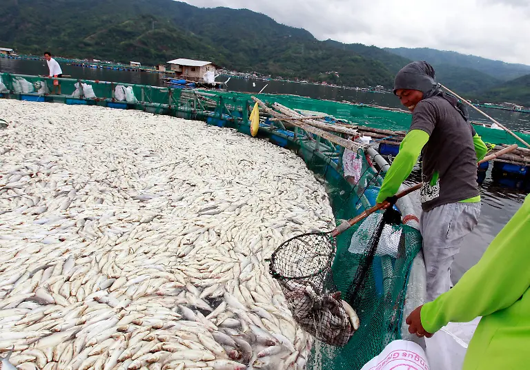 2y5l5620-jpg7571160663767571557