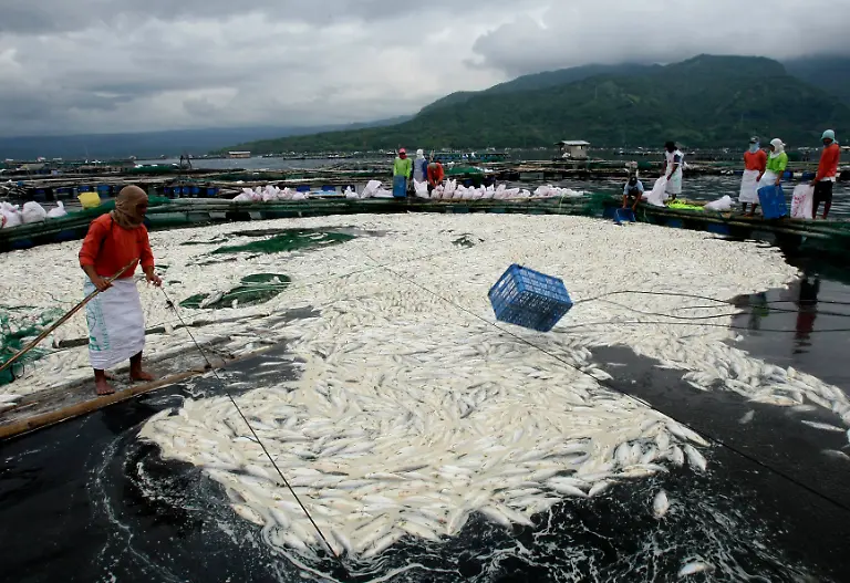 DAB1680-20110529-jpg9178606561885658494