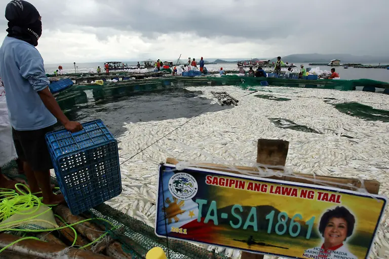 1306664056-jpg2969554403967030752