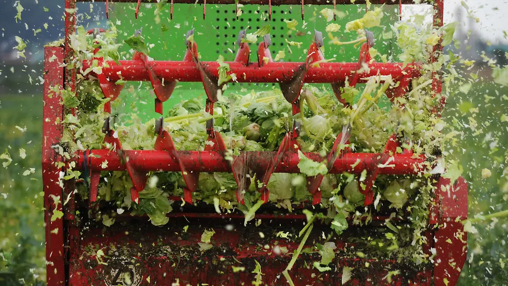 2y4e1436-jpg8962793559618000096