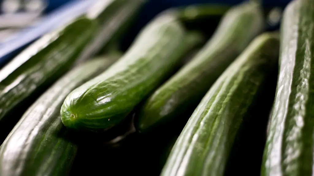 2y4j3227-jpg7132514310406626091