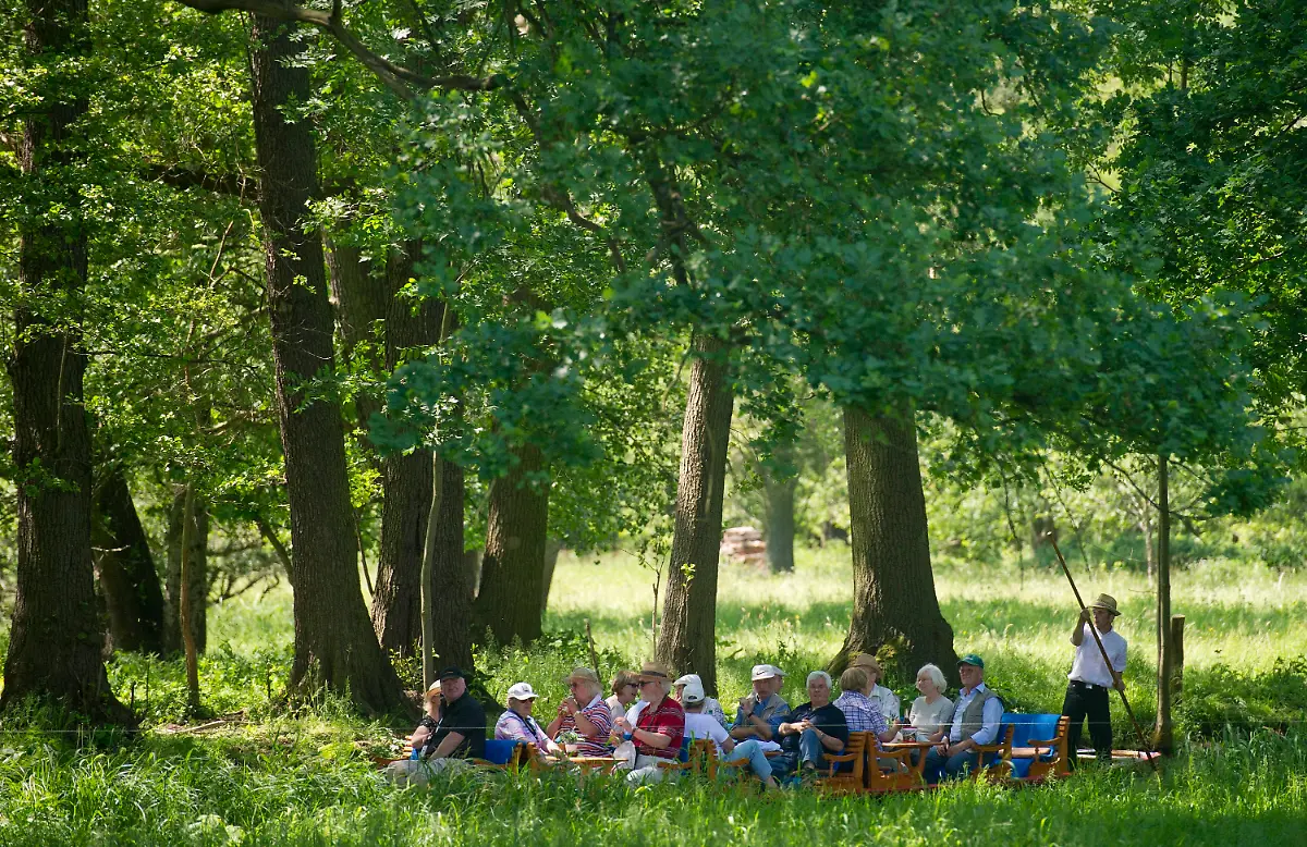 2y2t0218-jpg7272224288055539450