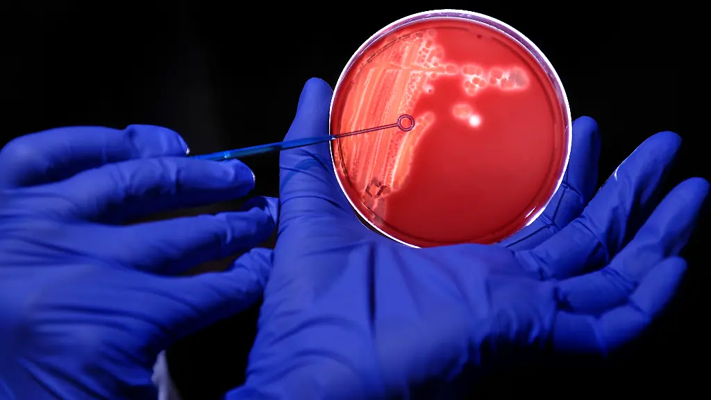 1306333868-jpg4858596238011669968