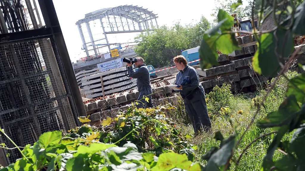 2y1m4216-jpg1155573844109559171