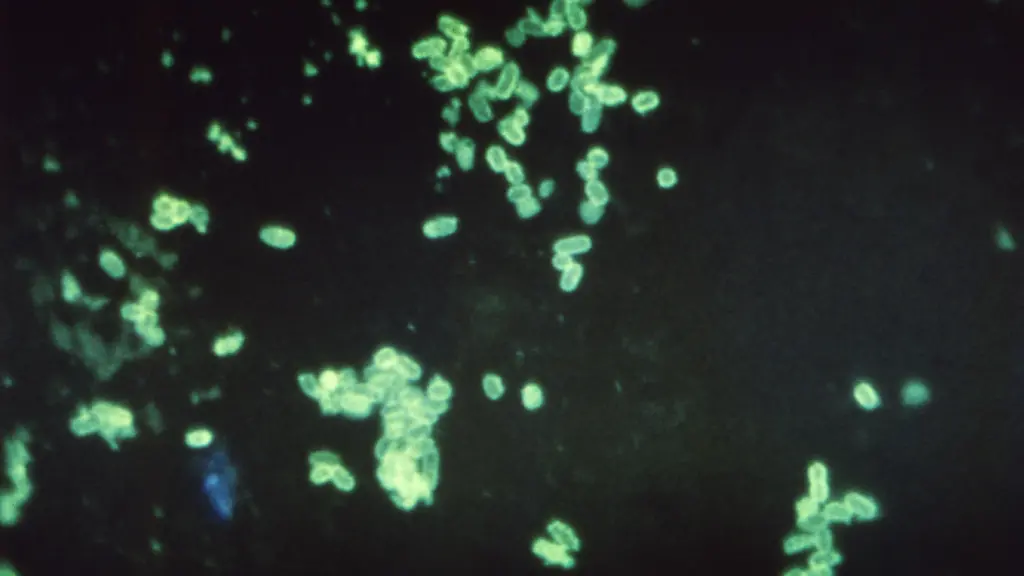 2y112008-jpg2075587567022882969