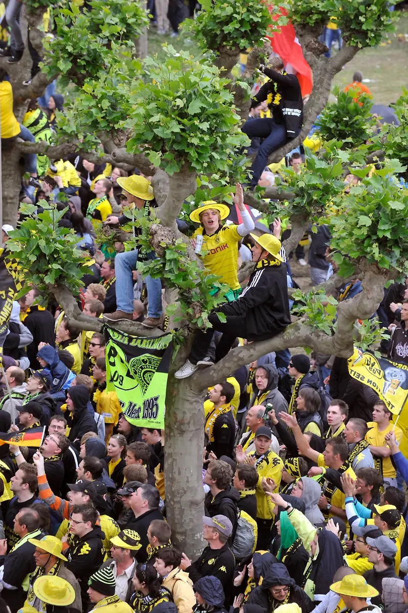 2xwc5329-jpg5209997684846074640