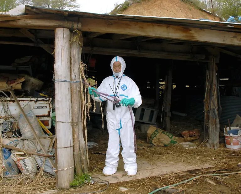 DAB1201-20110510-jpg302584423733944741