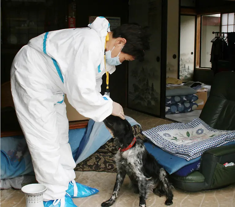 DAB1288-20110510-jpg7969834345897118268