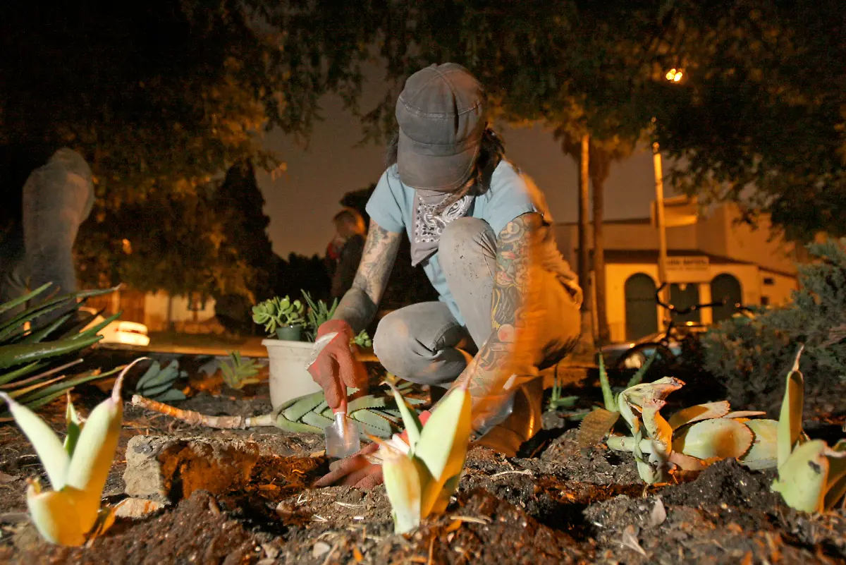 Guerrilla-Gardener-LA