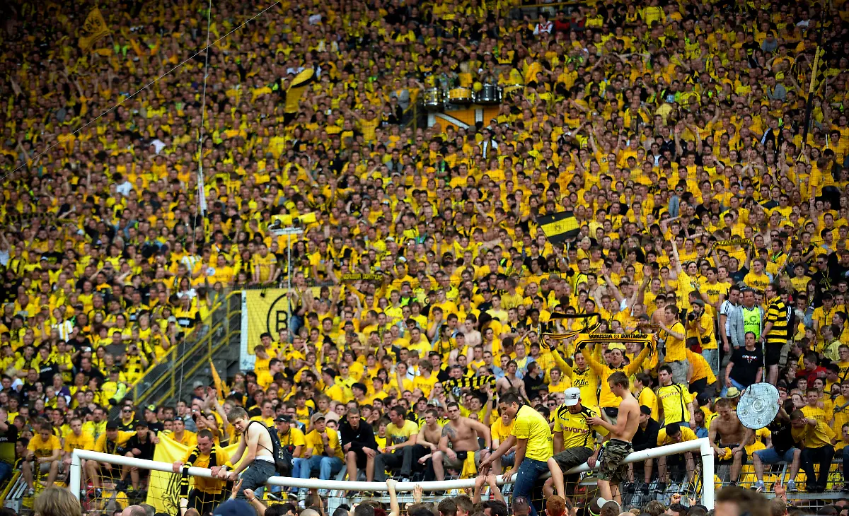 DDI1100-20110430-jpg8649685757687027457