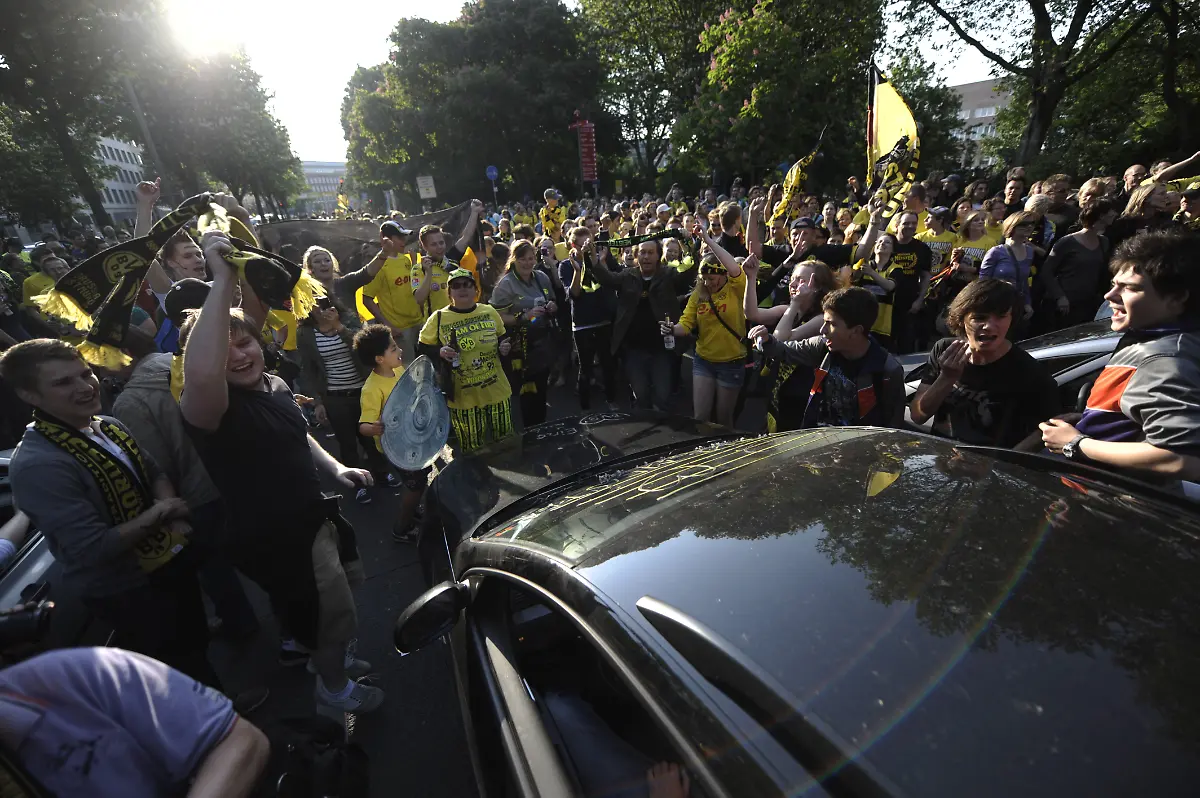 1304182675-jpg3497715832364947535