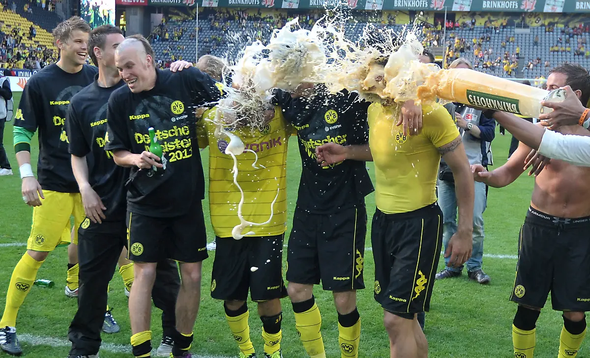 DDI0953-20110430-jpg6955465481413472289