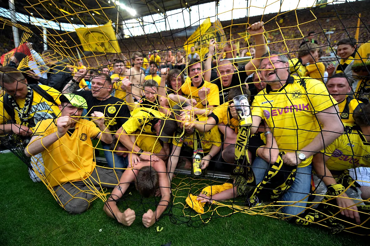 DDI1016-20110430-jpg7106165910669174845