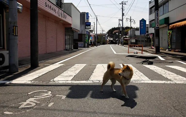 1303463747-jpg6805483330951398191