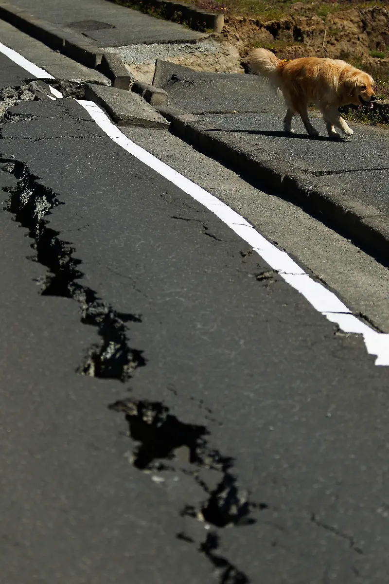 DAB3556-20110420-jpg5055320939656356724