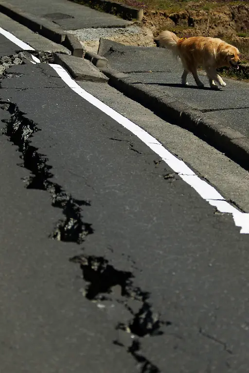 DAB3556-20110420-jpg5055320939656356724