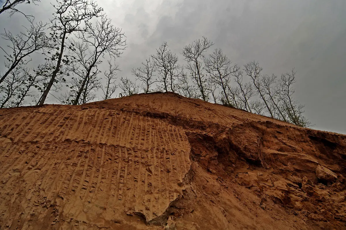 2xfn2133-jpg2305307796837669187