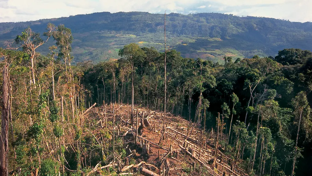 2xe50032-jpg6367531412715646914