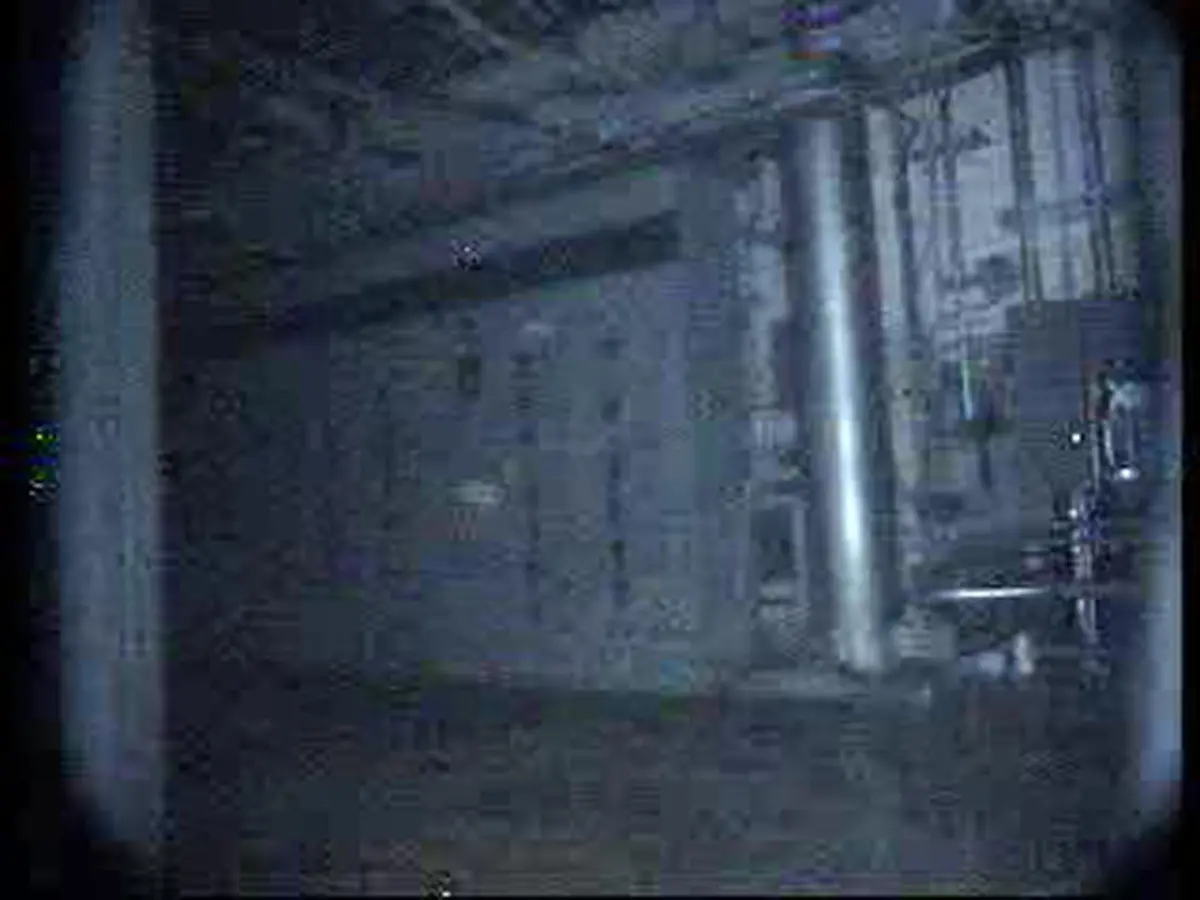 1303188008-jpg1179414133043368357